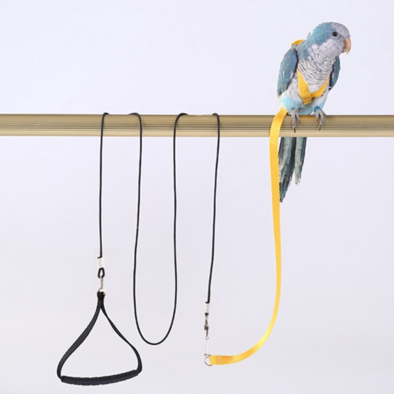 Anti-Bite Vliegende Training Touw Papegaai Vogel Huisdier Aangelijnd Kits Ultralight Harnas Leiband Voor Grasparkiet Dwergpapegaai Valkparkiet Kleine Vogels