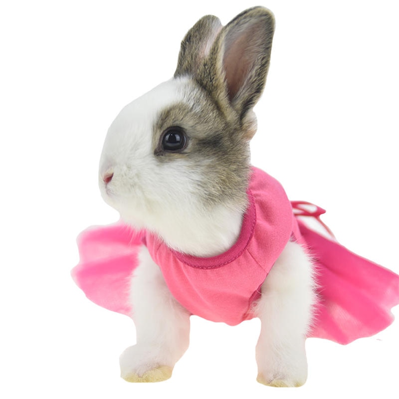 Sød bunny kanin marsvin kjole tøj til lille hund kat tekop chihuahua lille dyr chinchilla ilder kostume vest hættetrøje