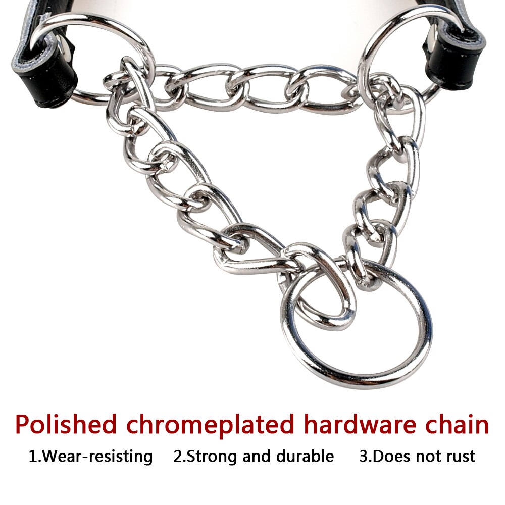 Martingale − collier pour dressage de chien, demi-choque, pour animaux de compagnie, 5 couleurs disponibles, rembourré, protège le cou