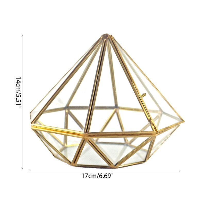 Handmade Gold Open Glass Geometric Terrarium Brass Diamond Succulent Fern Moss P