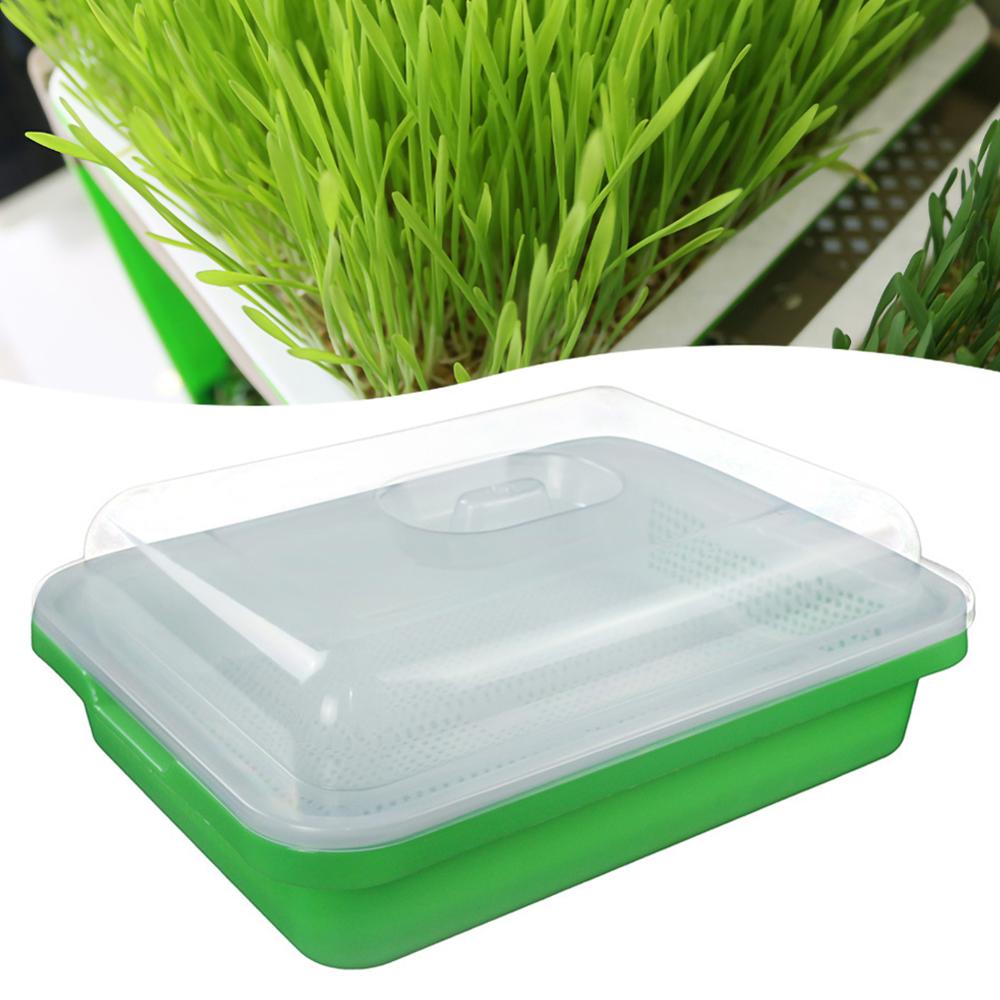 Plastic Nursery Pots Seed Sprouter Tray PP Soil-Free Big Capacity Wheatgrass Grower Seedling Tray Sprout Plate Hydroponic 35P