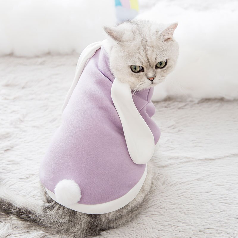 pet clothes cat clothes dog clothes autumn and winter cat and dog sweater cute transform pet clothes