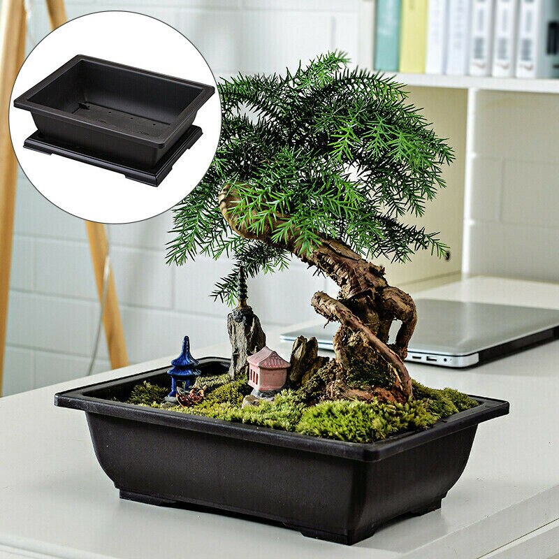 Maceta grande para flores, maceta rectangular para bonsái, vivero, contenedor para balcón, 29x21x10,5 cm