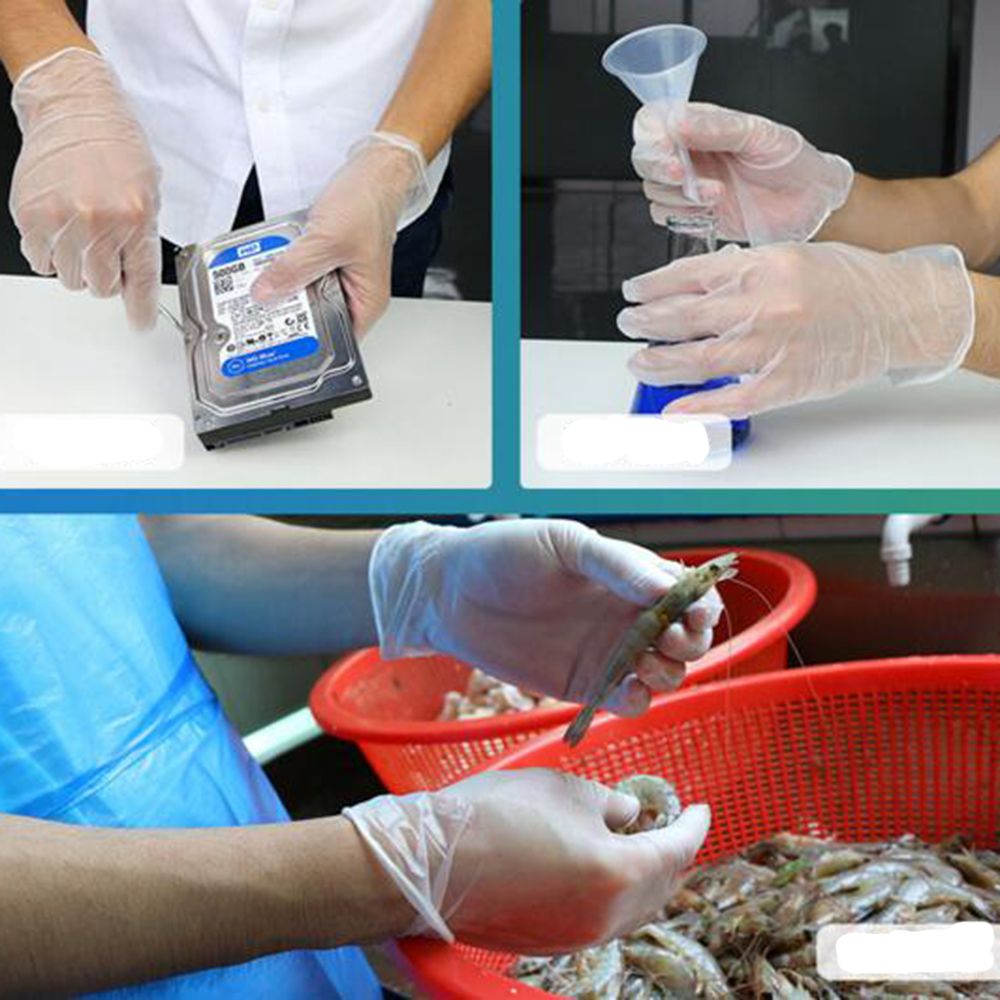 10 Pairs Disposable PVC Transparent Rubber Gloves Kitchen Beauty Lab Gloves Latex Vinyl Or Nitrile Multi Purpose Gloves
