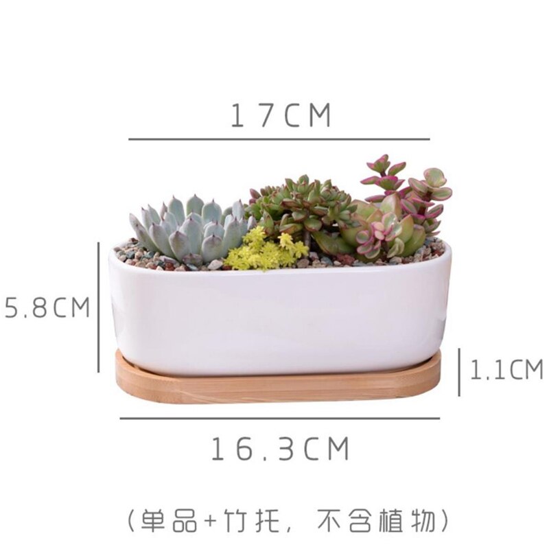 Macetero de porcelana de cerámica blanca minimalista para plantas suculentas, macetero de porcelana decorativo para escritorio, maceta para decoración del hogar, 1 olla + 1 bandeja: 05