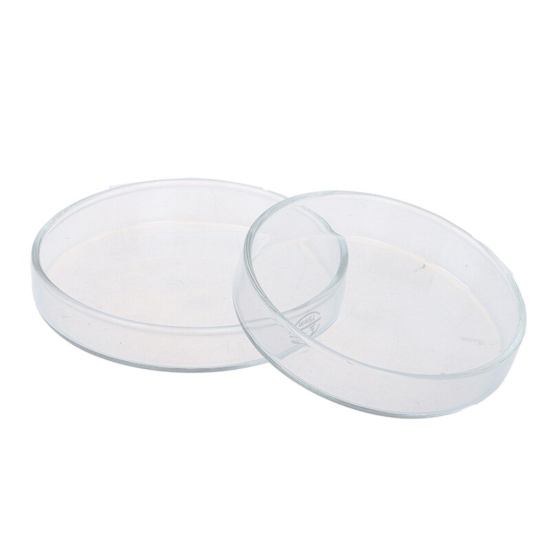 Plato de cristal transparente de gambas para comer, bandeja alimentadora de comida, contenedor redondo para acuario