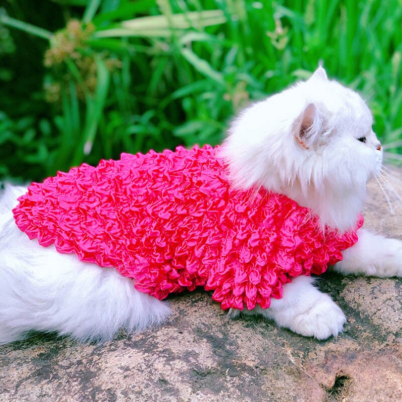 1-16kg pet cat hoodies camisola roupas para animais de estimação para gatos grandes gatos roupas roupas um tamanho fts todos fornecedor do animal de estimação 514035: Vermelho