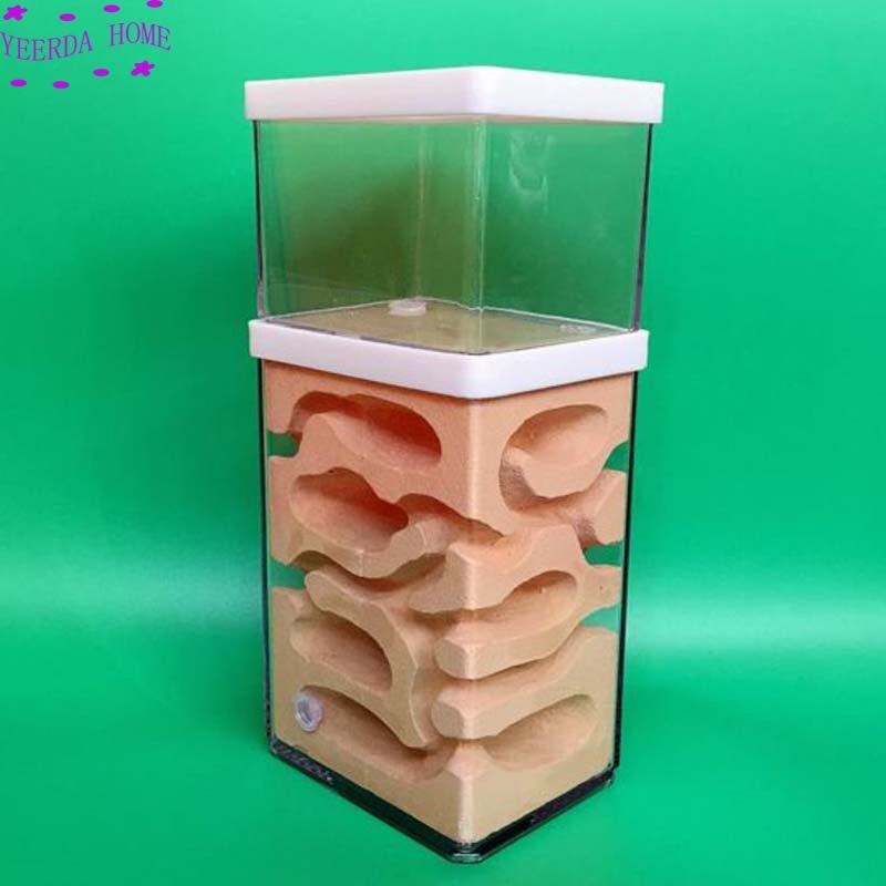 Easy Diy Ant Farm with feeding area Ants Castle Pet Cages insect house Workshop Insect Landscaping Housing workshop