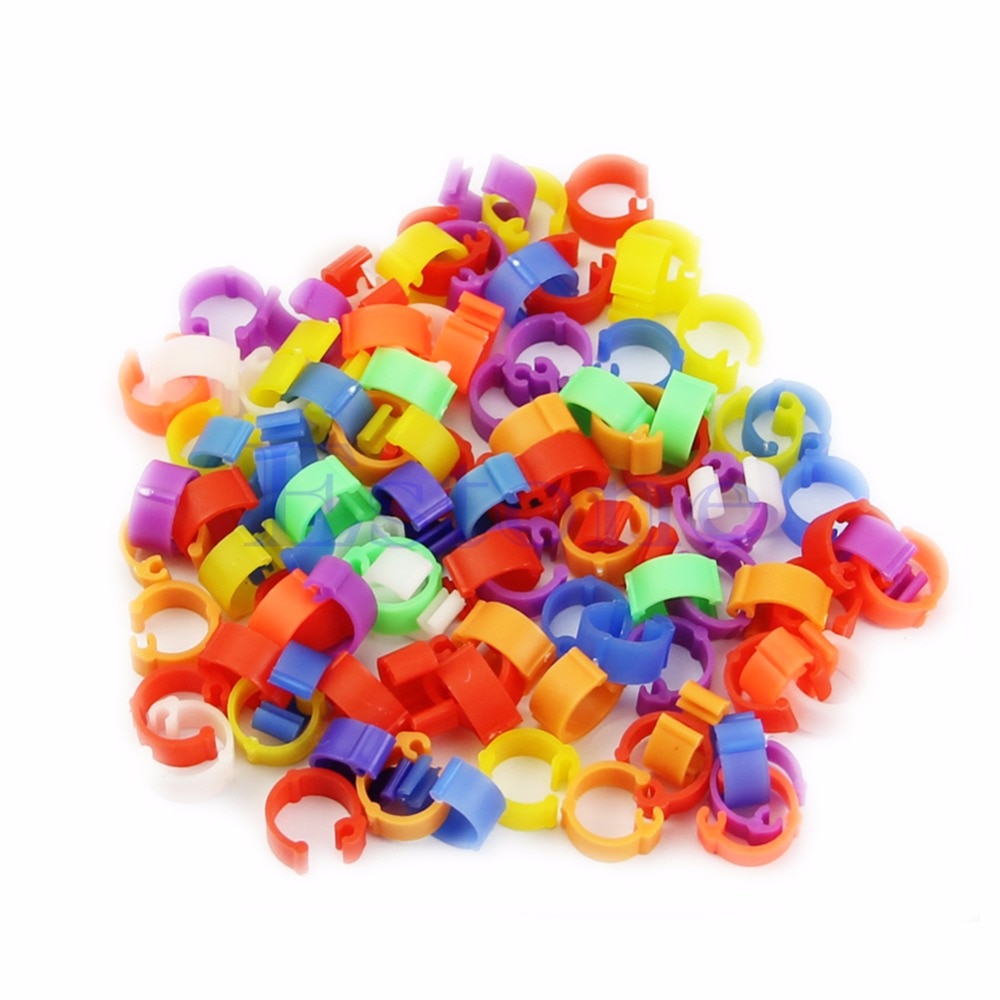 100X Chicken Hen Pigeon Leg Poultry Dove Bird Duck Chicks Parrot Clip Rings Band #20/12L