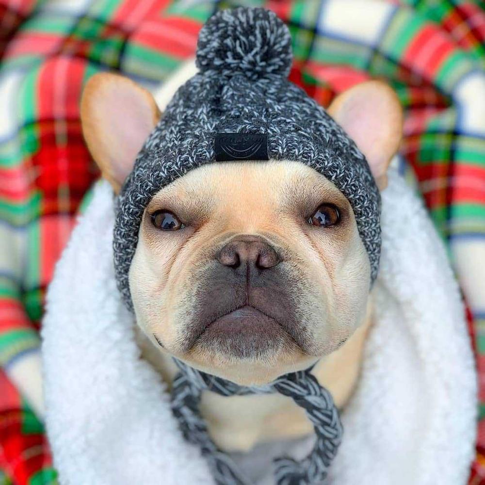 Efterår og vinter pels kugle holder varm og vindtæt puff bold strikning metode hund kæmper hat kæledyr hovedbeklædning