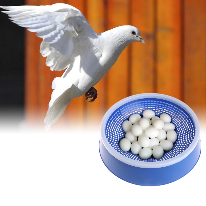 Blauw Duif Eieren Nest Vogels Plastic Ontvochtiging Wastafel Supply Fokken Kom D08F