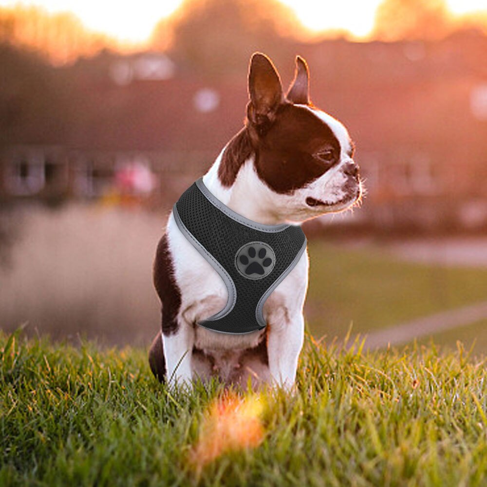 Åndbar lille hund kæledyr sele reflekterende hvalp kat vest sele justerbar til små mellemstore hunde chihuahua mops bulldog