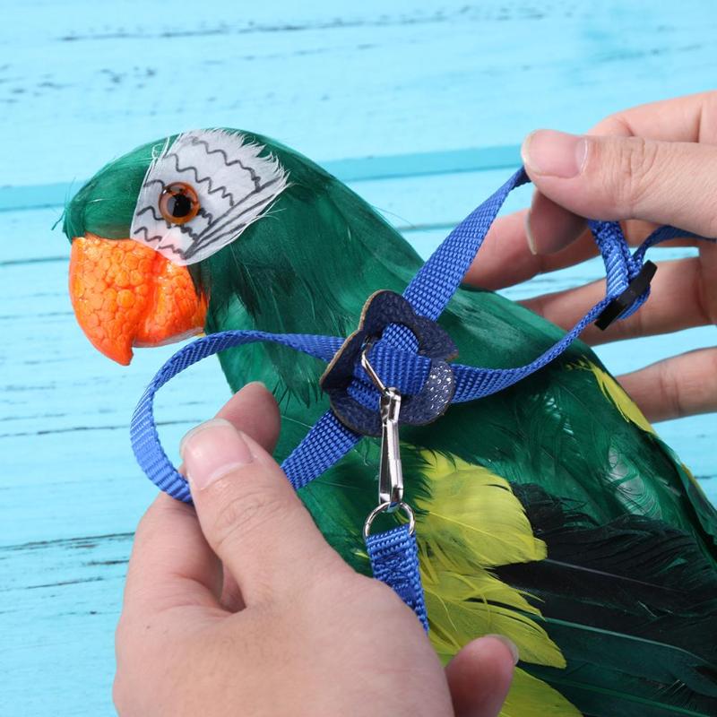 Papegøje fuglesnor anti-bid flyvende træning reb papegøje fugl kæledyr snor kits ultralet sele snor blød bærbar kæledyr legetøj