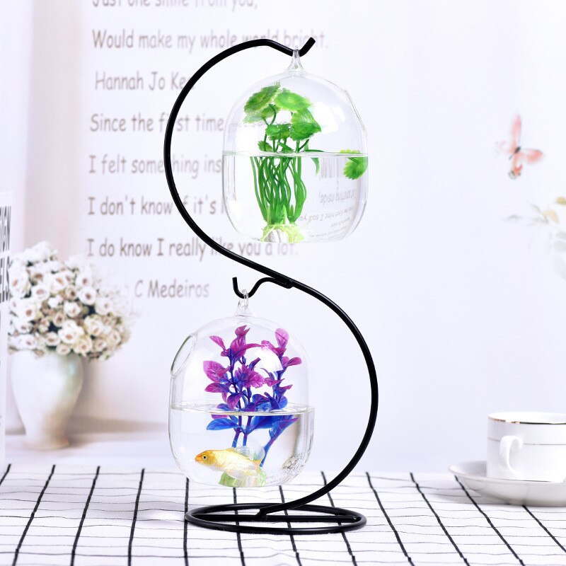 Ecosphère-boule de poisson rouge suspendue | Aquarium, bol de réservoir de poisson, Vase de plante de fleur, bol de Table pour petits accessoires fournitures pour animaux de compagnie: Clair