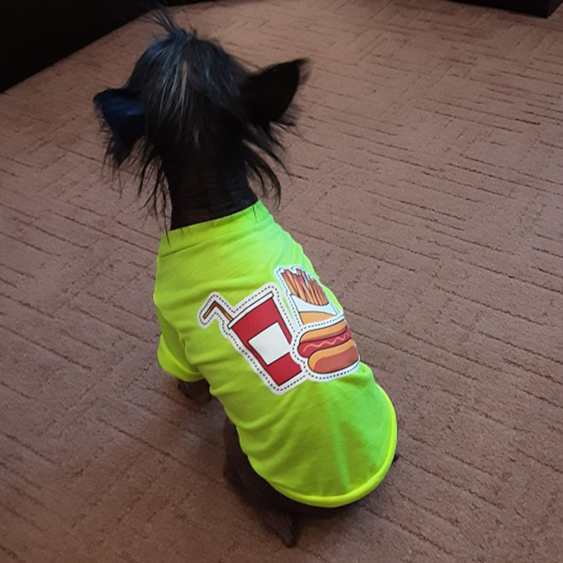 Camiseta barata de algodón para perros pequeños, ropa estampada para mascotas, Yorkshire, Pomeranian, Pug, gato