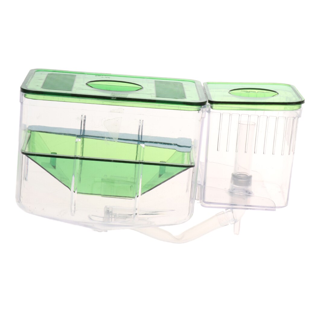 Clear Visteelt Isolatie Box Tank Aquarium Auto Circulerende Viskwekerij Transparant 20 X 10x 12Cm