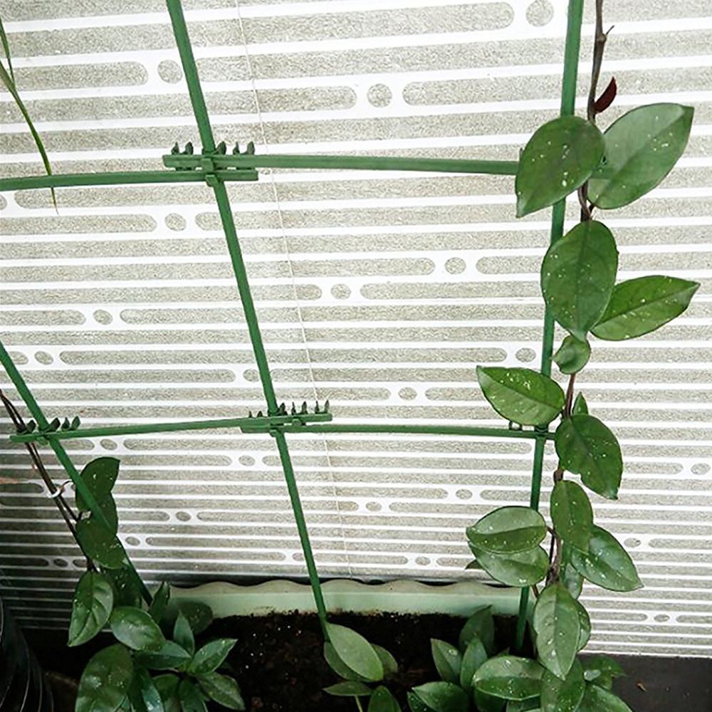 5 st plast växt fixa klämmor ställ stjälk klättring vinstockar stöd grönsaker gård blomma frukt bundet bunt gren klämväxt verktyg