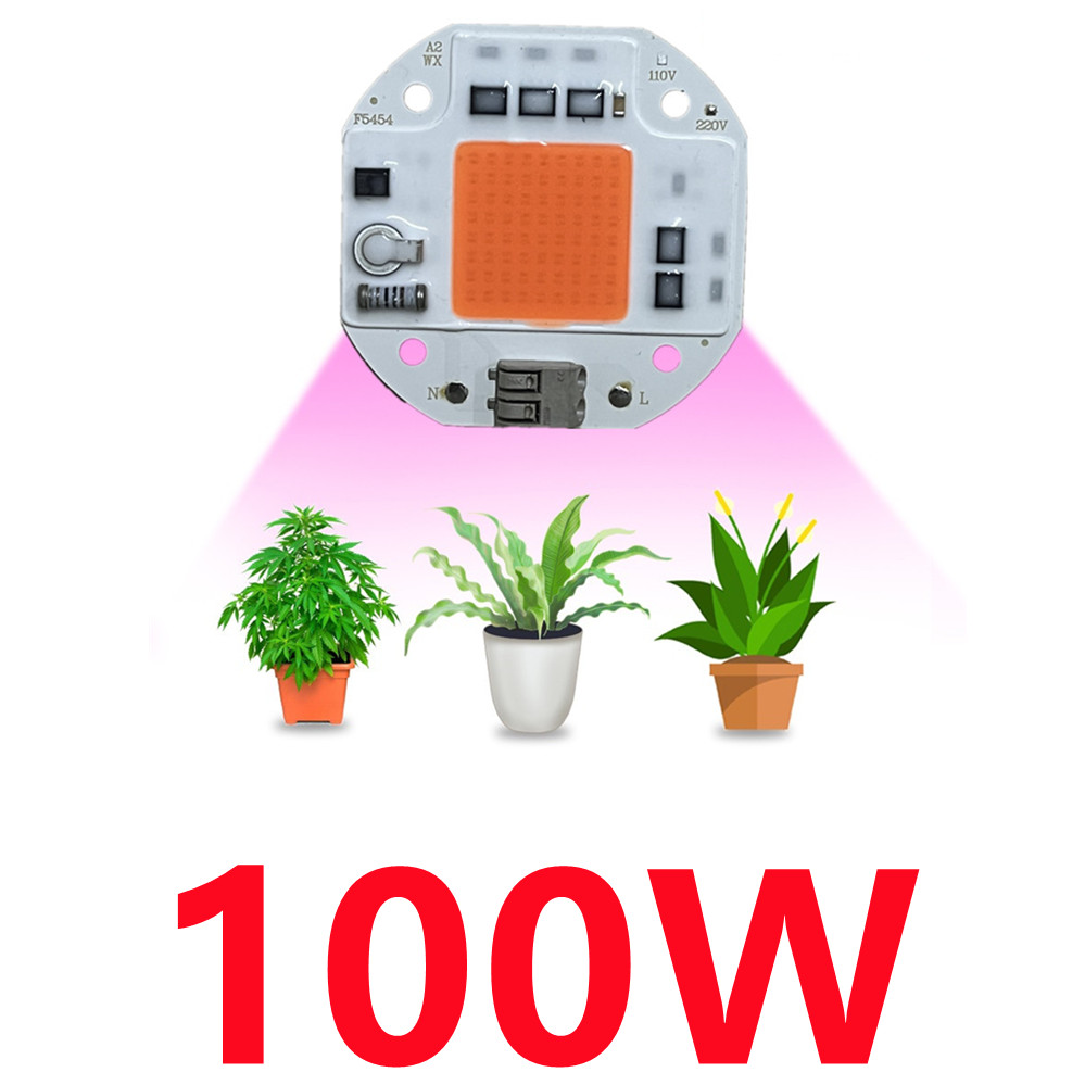 Chip de luz LED COB de espectro completo AC 220V 10W 20W 30W 50W-100W sin necesidad de controlador para el crecimiento de plántulas de flores iluminación de plantas: Blanco frío / 20 W