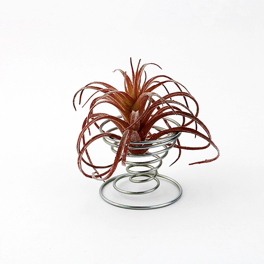 3pcs Stainless Steel Air Plant Stand Container Tillandsia Holder Tabletop Plant Pot Display Rack Vase