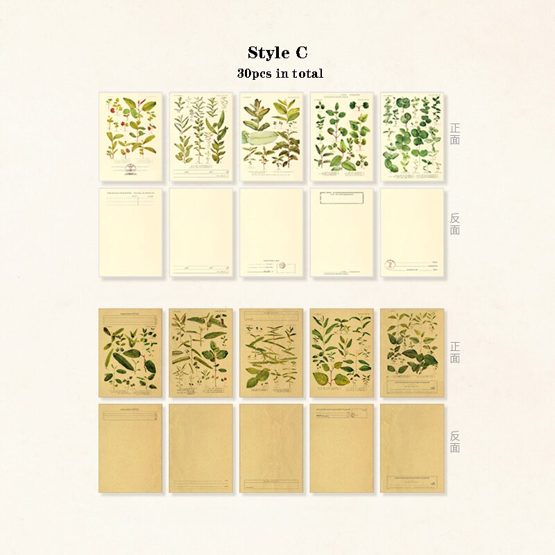 Mr.Paper 30pcs/pack 8 Designs Plant Material Paper Diary Scrapbooking Diary Planner Decorative DIY Craft Paper Stationery: C