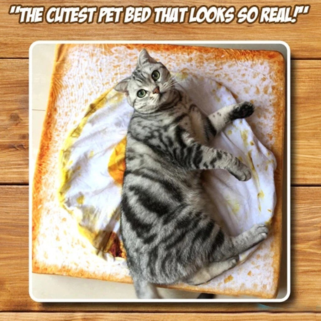 Pet Bed Dog Cat Mat Blanket Kennel Durable Soft Bread Poached Eggs Mats Four Seasons Durable Soft Toast Bread And Poached Eggs
