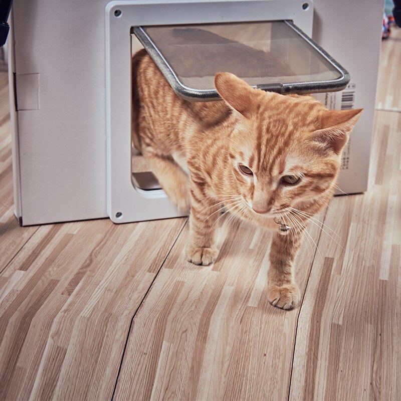 Husdjur hund katt produkter intelligens switch kontroll plast grind