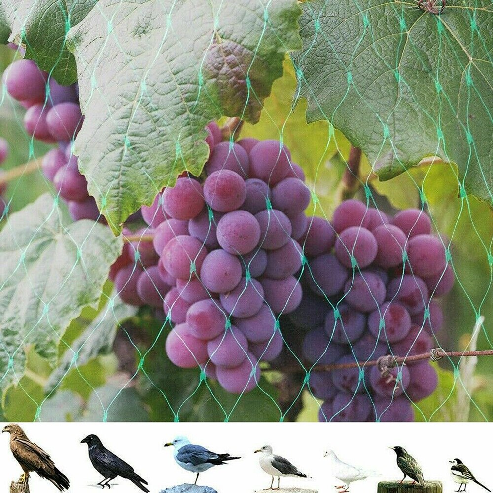 Bird Netting Protect Plants and Fruit Trees From Birds and Wildlife Reusable Lightweight Green Net for Fruit Seedlings Vegetable