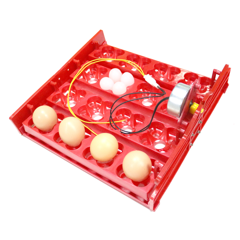 Incubadora automática de huevos de gallina, 16 huevos/64 pájaros, palomas y otras aves, equipo de incubación con Motor