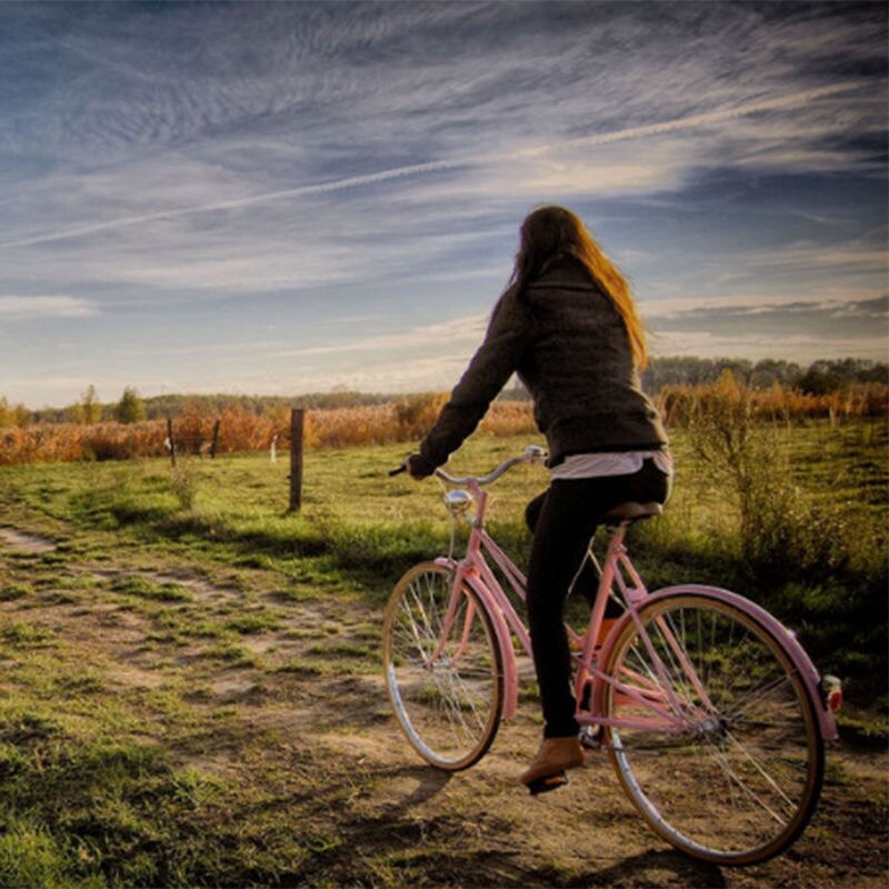 Bike Metal Spring Rear Shock Absorber for Brompton BMX Amortizer Bicycle Parts