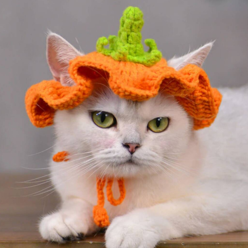 Flower Hat crochet hat for Cat small Dog Crochet – Grandado