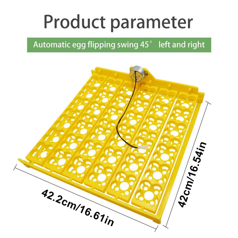 Incubadora de huevos automática para incubar huevos de gallina, girador pequeño de 36 huevos, bandeja para huevos de aves 156 con electricidad