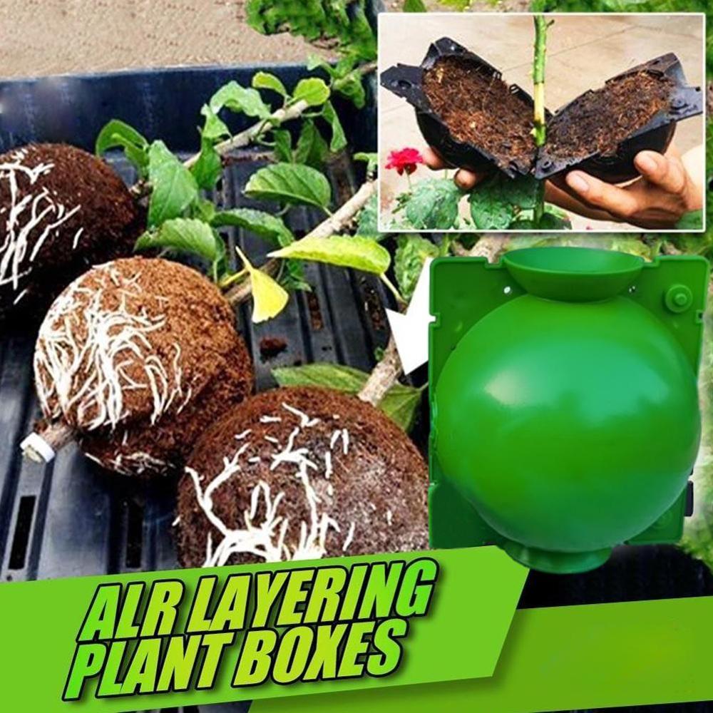Plant Hoge Druk Voortplanting Doos Boompje Hoge Druk Voortplanting Bal Voortplanting Wortel Box Controller Plant Hoge-Druk l2B0