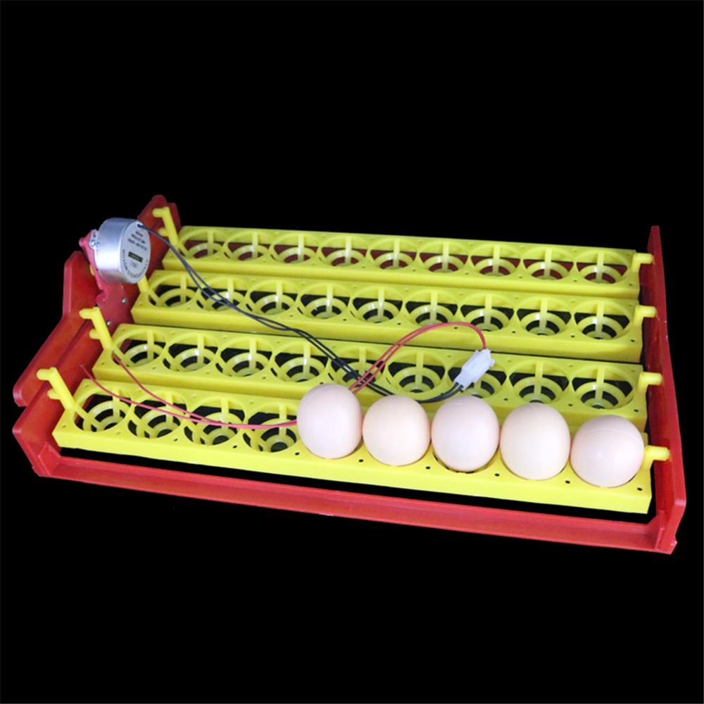 Incubadora para aves, 36 ovos, bandeja giratória, pato, ovo de codorna, pássaros, equipamento automático de incubação para animais de fazenda
