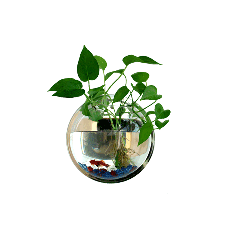 Hanging Fish Tank, Wall Hanging Aquarium Ecological Mini Round Mirror Small Goldfish Tank Wall Decoration