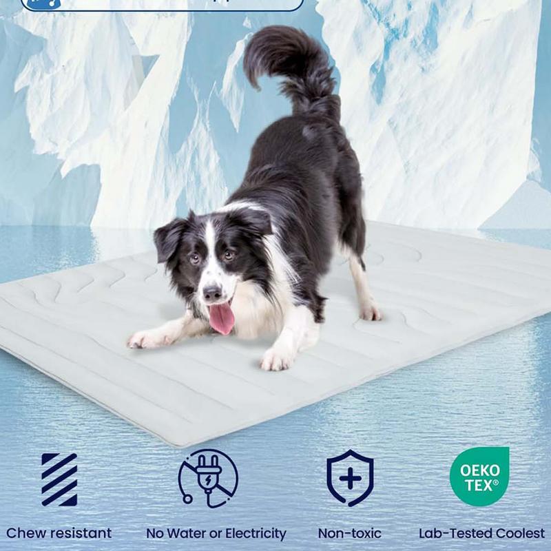 Lemmikkien jäämatto koirille kaksipuolinen kylmämatto koiralle hellävarainen kulutusta kestävä lemmikkien jäämatto lattialle autonistuimille ulko- ja sisähäkki