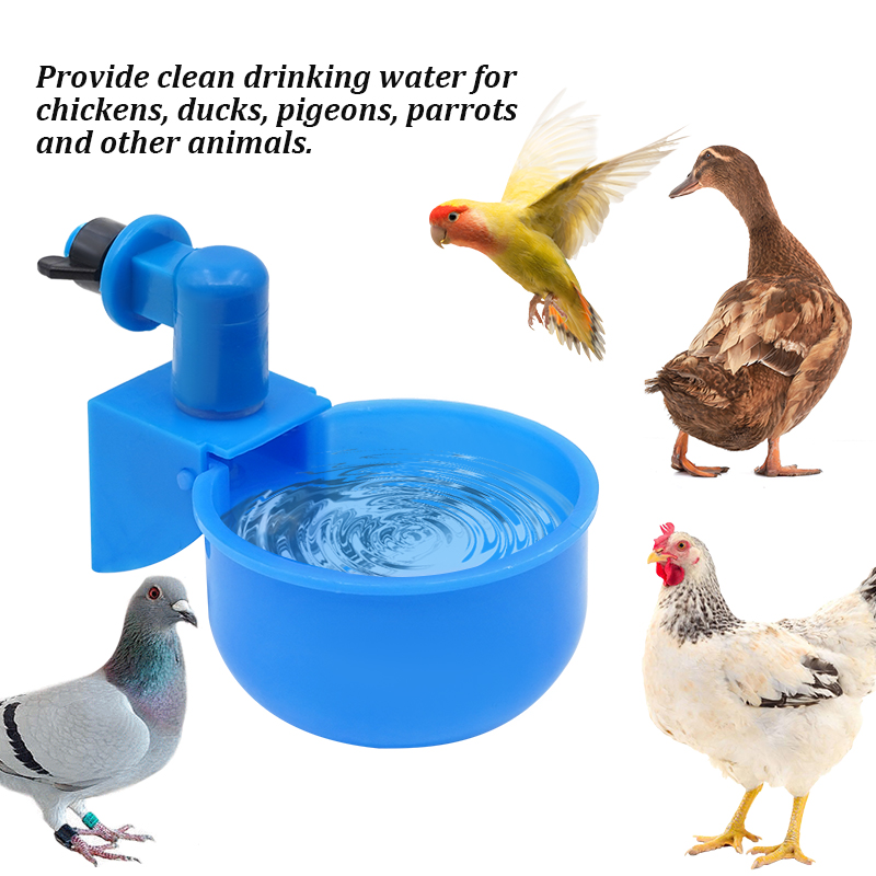 Bebedero para pollos, taza para aves de corral, bebedero automático para pollos, bebedero de plástico para aves de corral, alimentador de agua potable para pollitos y patos, 6 uds.