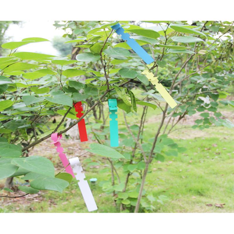 100 etichette per piante da pz/lotto etichetta per vivaio da giardino pennarelli per alberi appesi pianta per piantine alberi da frutto segni strumento rapido per carte