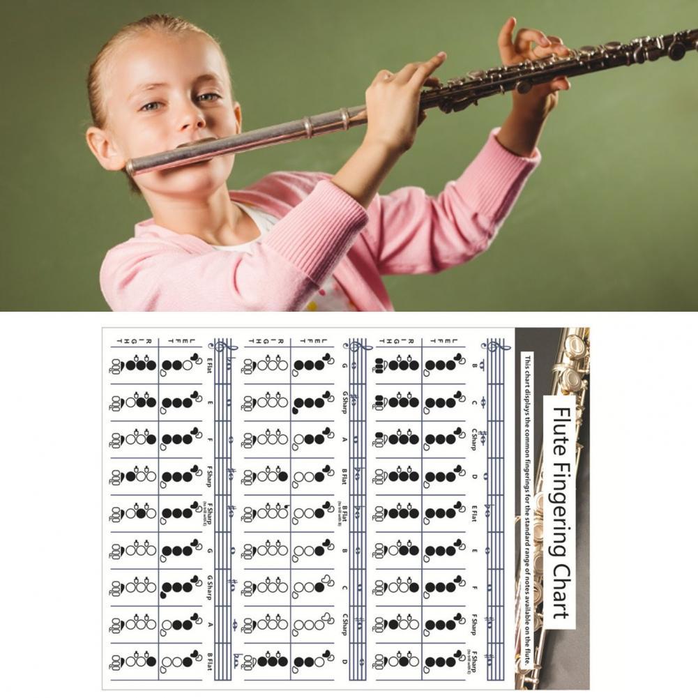 Guitar Flute Chord Fingering Chart Flute Practice Comparison Chart for Beginners Practicing Accessories