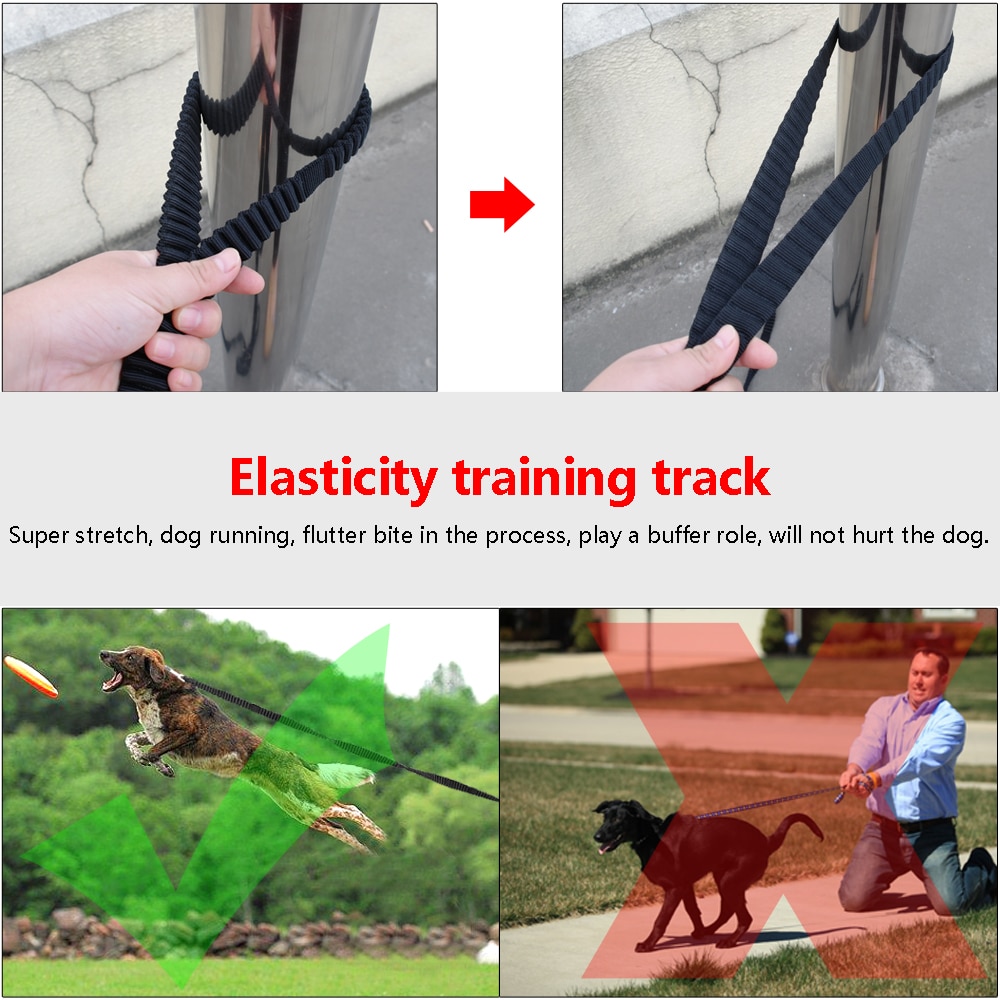 Laisse élastique en Nylon pour animaux de compagnie, longue pour le suivi des chiens, sangle antidérapante, avec poignée, entraînement à la marche, 3m 5m