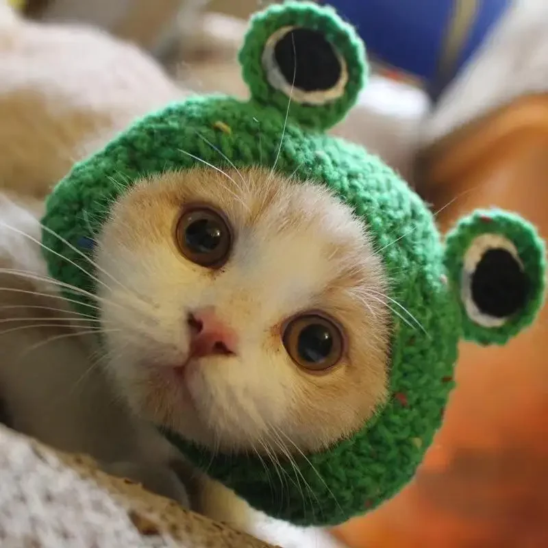Gorro de punto elástico para gato, accesorio refinado para mascota, cachorro, gatitos, , sesión de fotos, decoración, Otoño e Invierno: Negro