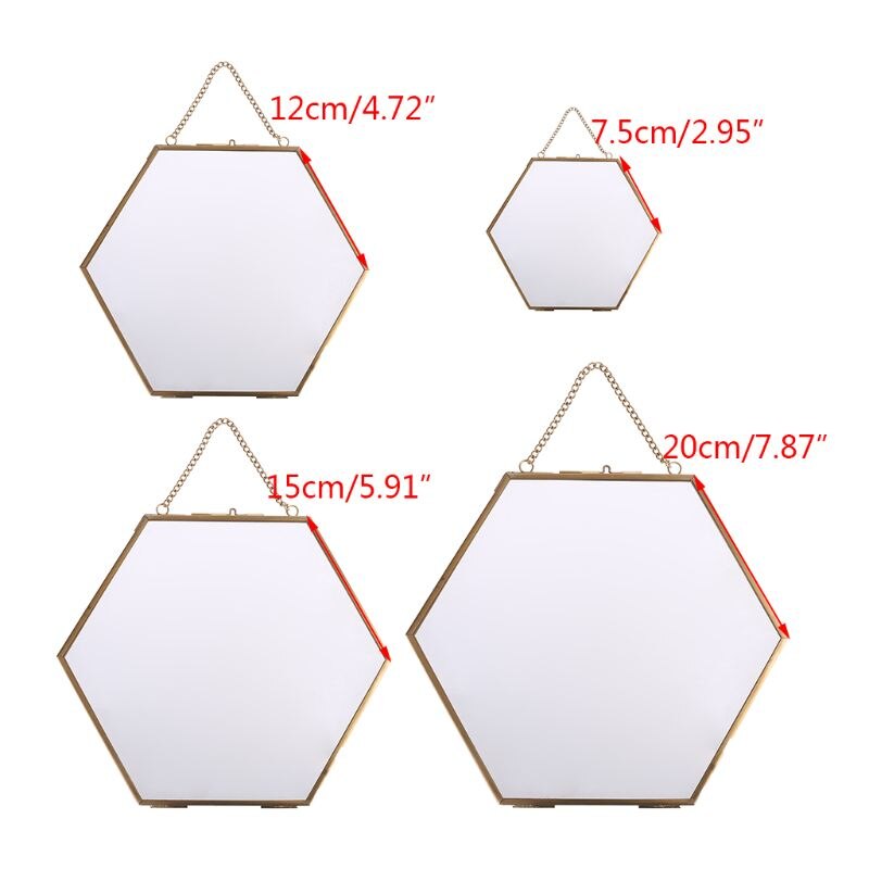 Hexagone flottant suspendu cadre Photo métal verre Portrait Photo plante spécimen 449C
