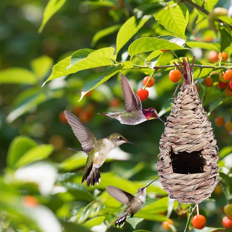 Hummingbird Nest Grass Bird Hut Hand Woven Outside Hanging Roosting House