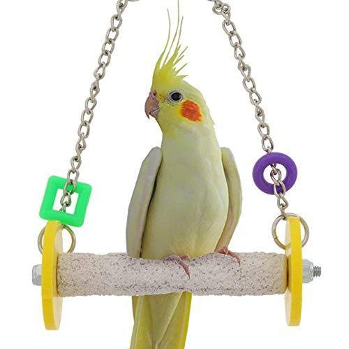 Bird Hanging Swing Toy Parrot Grinding Claws Standing Bar for Parakeet Cockatiel Finch Lovebird Budgie Conure (Random Color): A-Random Color