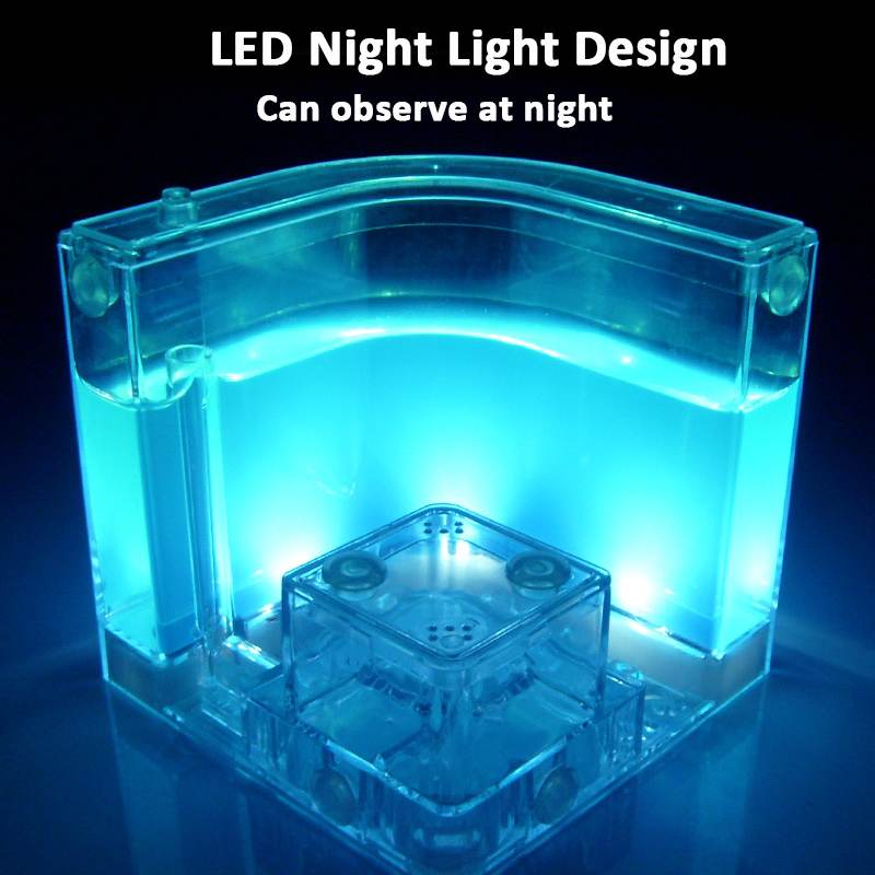 USB Colorful Insect Feeding Box with LED Light Ant Farm Ant House Castle Insect Box Ecological Toy Education Model