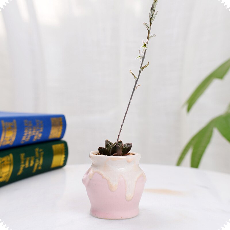 Huisdecoratie miniatuur model bloempotten glazuur asymmetrie bloemenvaas bureaudecoratie ornamenten beeldjes keramische pot
