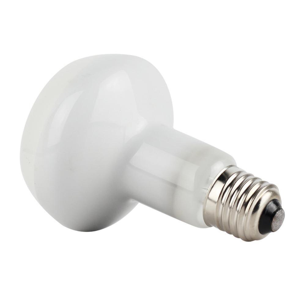 Kjæledyr lampe 60w/75w/100w 220-240v e27 for dyr fugler amfibier wolfram glødelampe