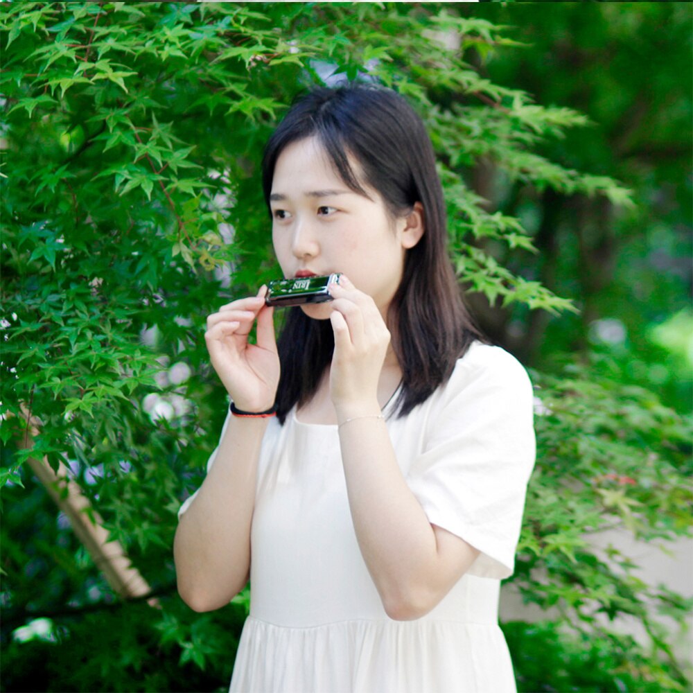 Blues Harp 10 Holes 20 Tone Harmonica Packed With A Box Playing Instruments Small Instruments (Black with Cleansing Towe