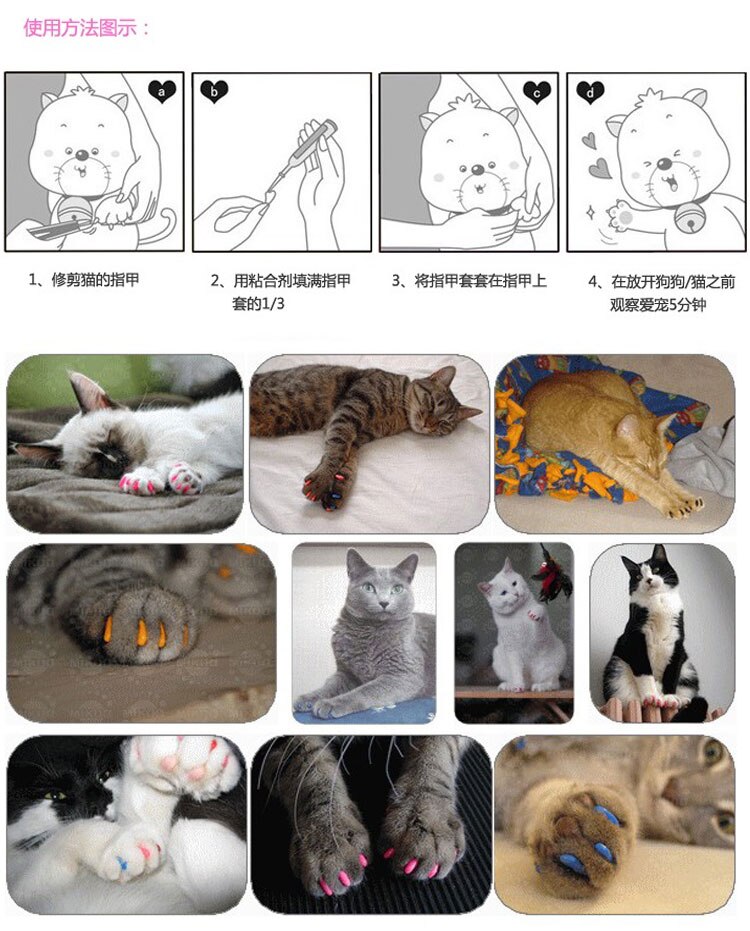 Capuchons de protection pour ongles, 20 pièces, contrôle des griffes de chat