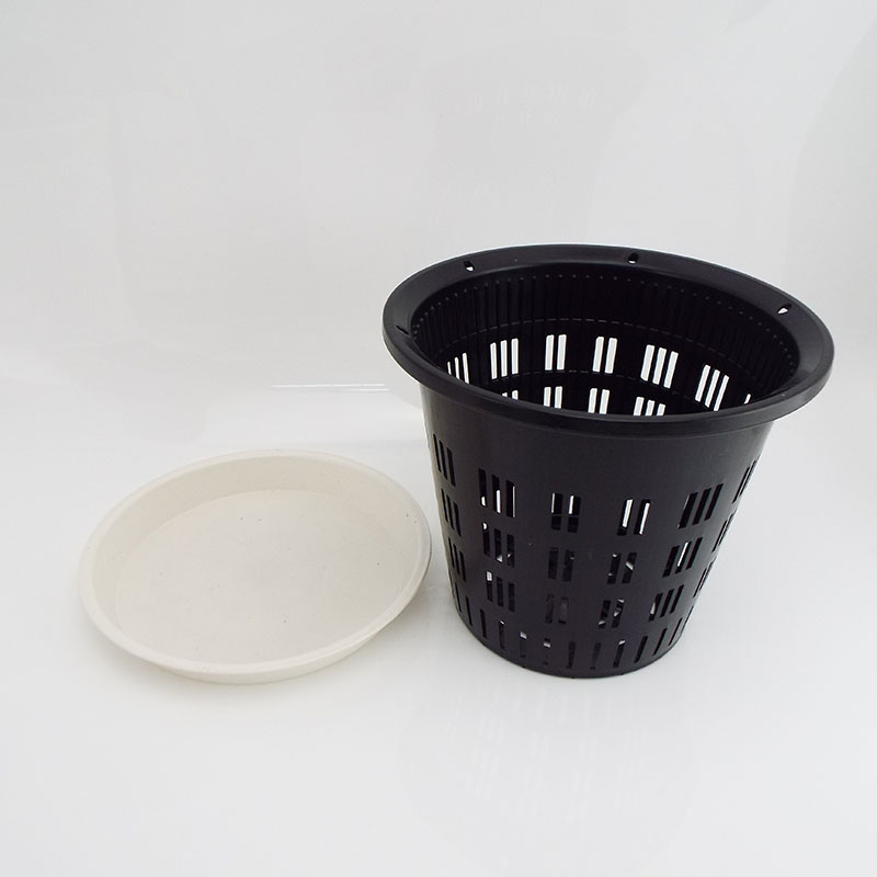 Macetas de plástico transparente para orquídeas, bandeja con agujeros, función de aire, contenedor de crecimiento de raíz, ranuras, Agujero colgante de pared, 5 piezas