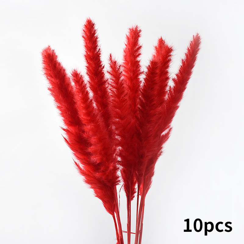 10Pcs Dry Dried Small Pampas Grass Flowers Pantas Artificiales Para Decoracion Real Plants Home Decor Wedding Decoration: red